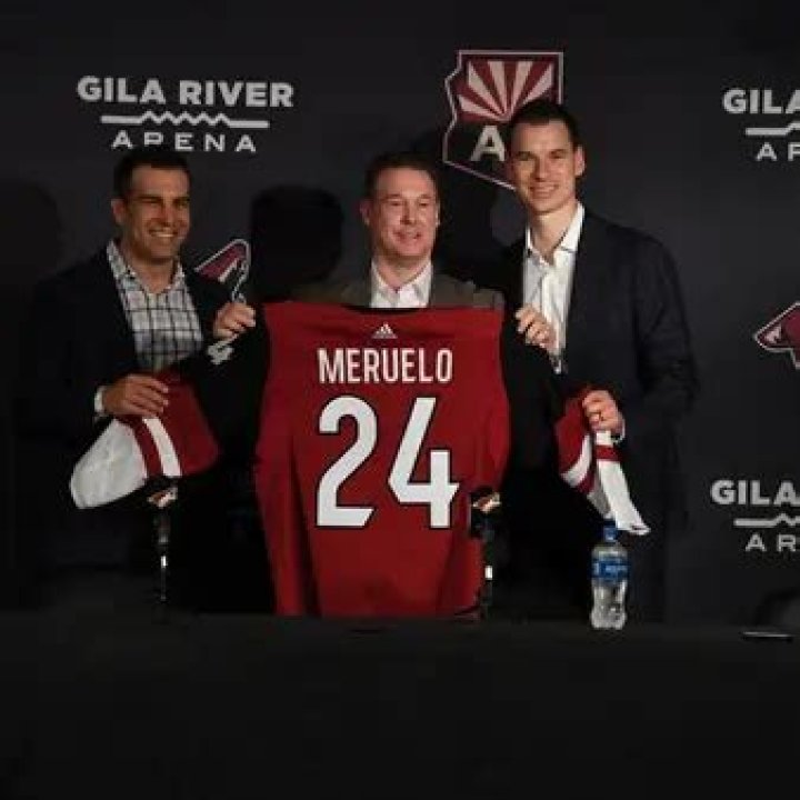 Alex Meruelo Net Worth 2024