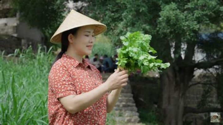 Dianxi Xiaoge