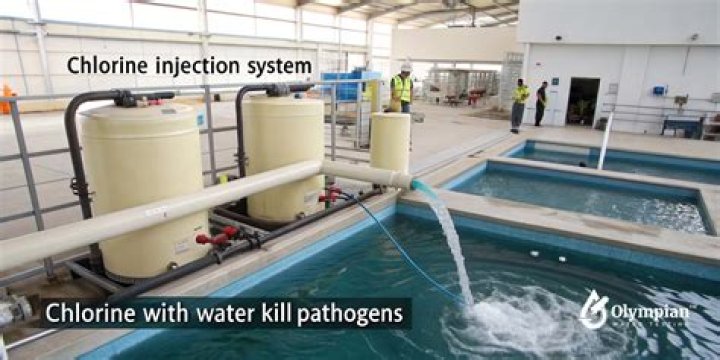 Does Brita filter remove chlorine and chloramine?