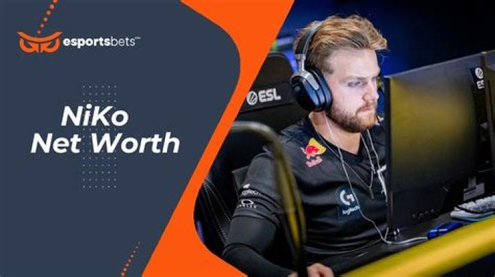 Niko Valdes Net Worth