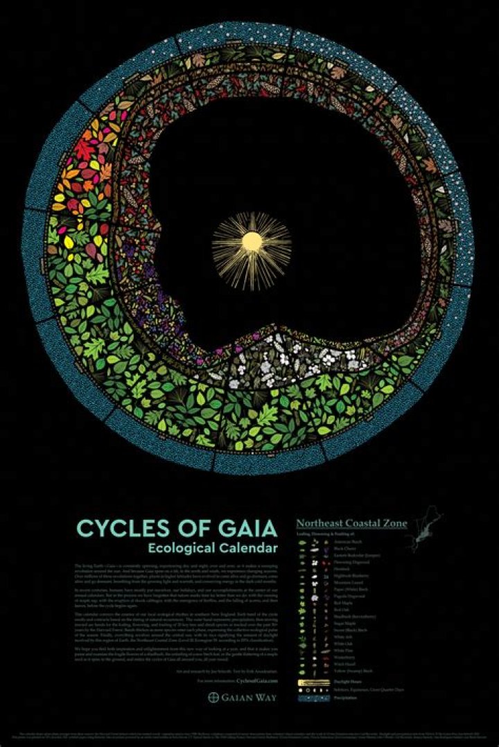 What created Gaia?
